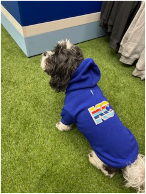 LUKE KC Pet Hoodie in Royal Blue